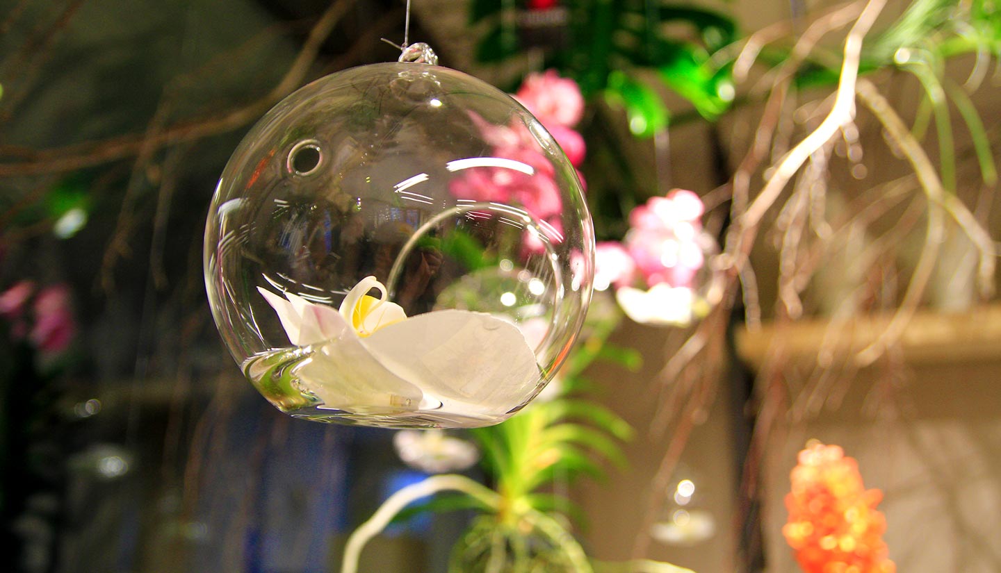 peony store-negozio-di-fiori-una bolla di vetro contenente un fiore